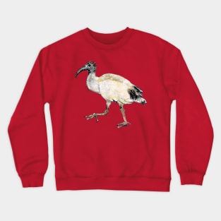 Sacred Ibis Crewneck Sweatshirt